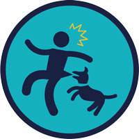 Dog Bite Attorney Icon